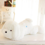 Cute Luminous Puppy