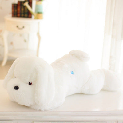 Cute Luminous Puppy