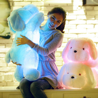 Cute Luminous Puppy