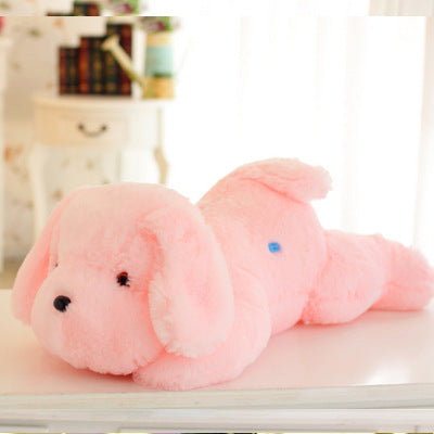 Cute Luminous Puppy