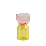 2 Piece Mini Glass Terrarium Vases For Hydroponic Plant Decor 1005005937039100-YellowGreen Set