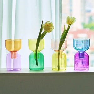 2 Piece Mini Glass Terrarium Vases For Hydroponic Plant Decor 1005005937039100-YellowGreen Set
