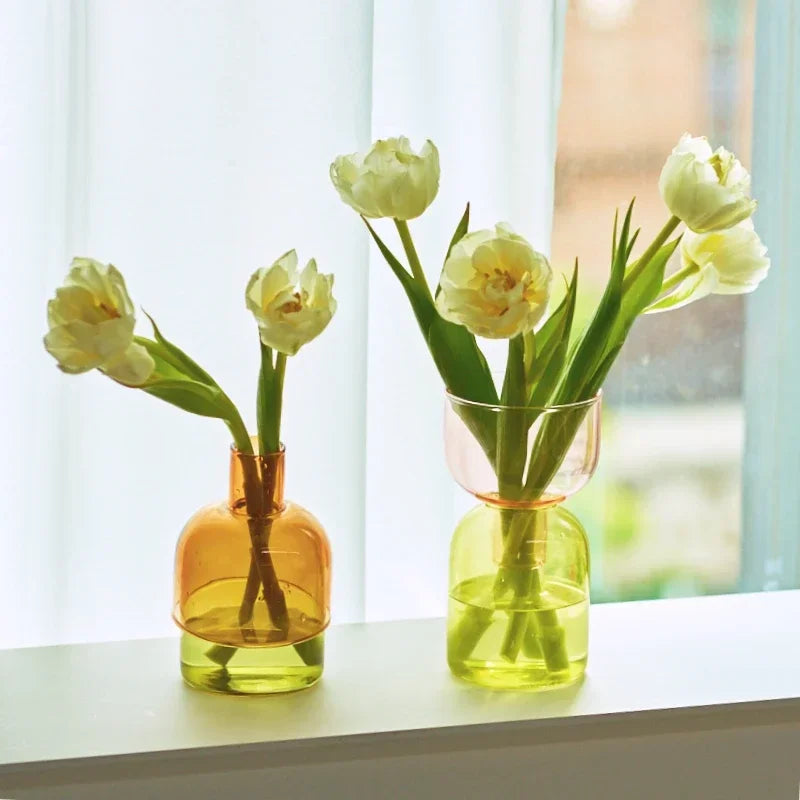2 Piece Mini Glass Terrarium Vases For Hydroponic Plant Decor 1005005937039100-YellowGreen Set