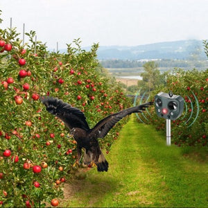 Solar Ultrasonic Bird Repeller For Garden Pest Control
