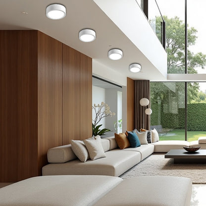Nordic Style Simple Ceiling Light