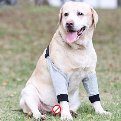 Dog Elbow Brace For Pain Relief