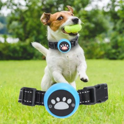 Rechargeable Waterproof Ultrasonic Dog Barking Deterrent Collar With Remote Control