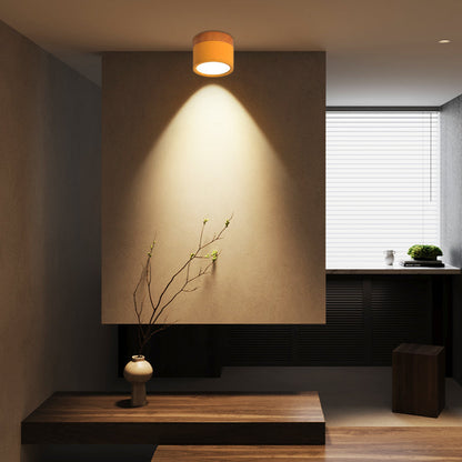 Nordic Simple Cylinder LED Ceiling Light