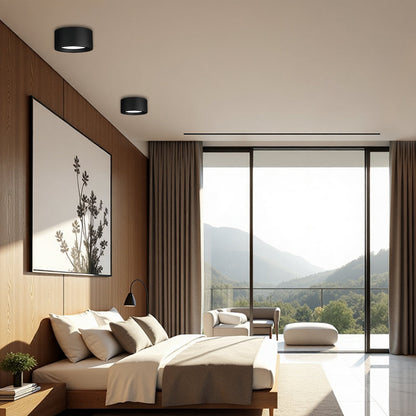 Nordic Style Simple Ceiling Light