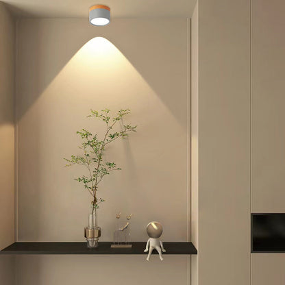 Nordic Simple Cylinder LED Ceiling Light