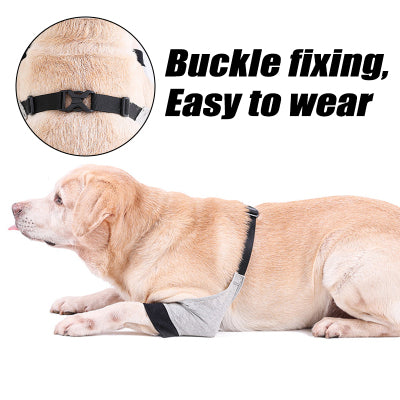Dog Elbow Brace For Pain Relief