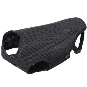 Pet Dog Back Brace For Various Sizes