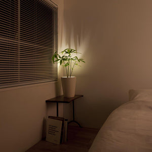LED Wall Light with Remote Control