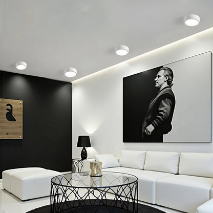 Nordic Style Simple Ceiling Light