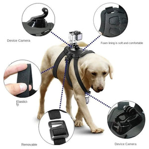 Adjustable Dog Harness Mount for GoPro and Action Cameras