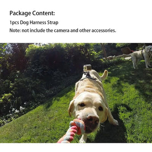Adjustable Dog Harness Mount for GoPro and Action Cameras