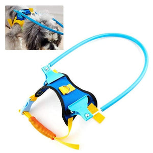 Blind Dog Harness Guiding Device, Pet Anti-Collision Ring for Protective And Build Confidence, Blind Dog Harness