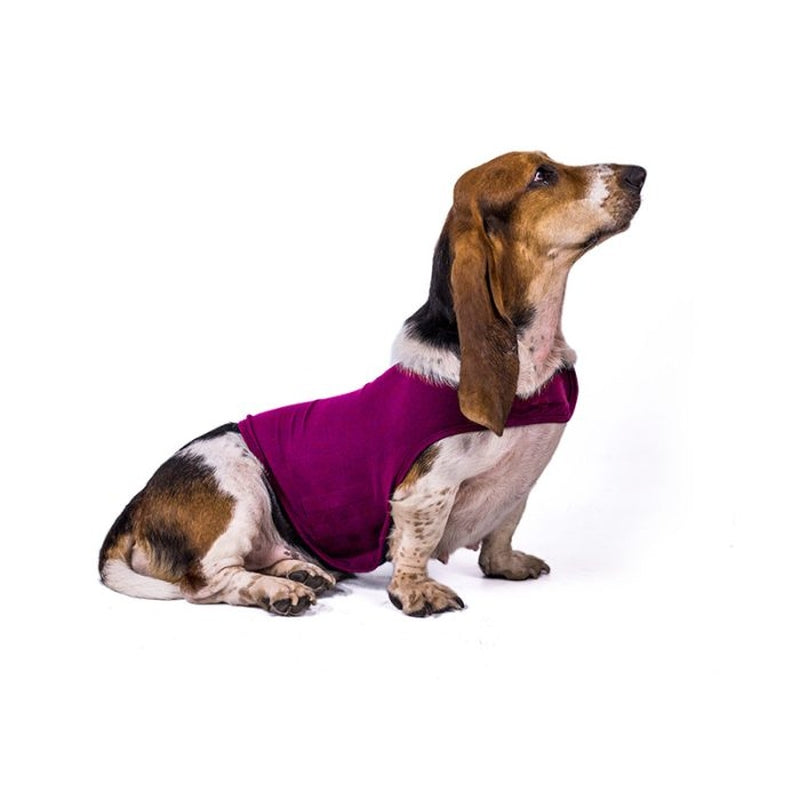 Dog Anxiety Vest Calming Shirt for Small to Large Pets