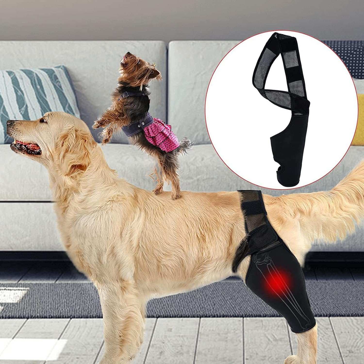 Dog Elbow Brace for Joint Support, Arthritis, and Injury Recovery