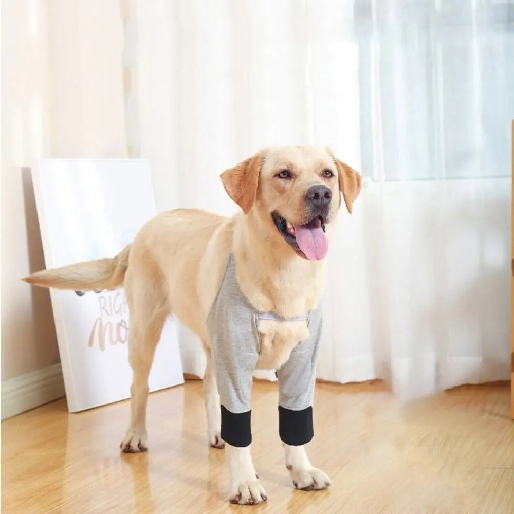 Dog Elbow Protector Pads for Front Leg Support