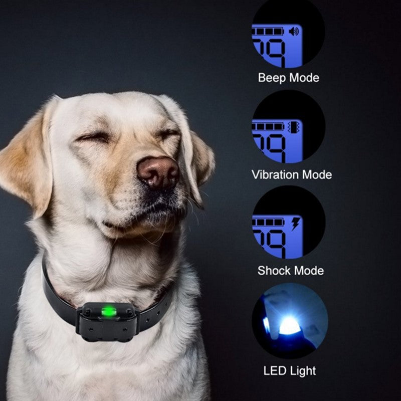 Rechargeable Waterproof Electric Dog Bark Collar With Remote Control For All Size Dogs