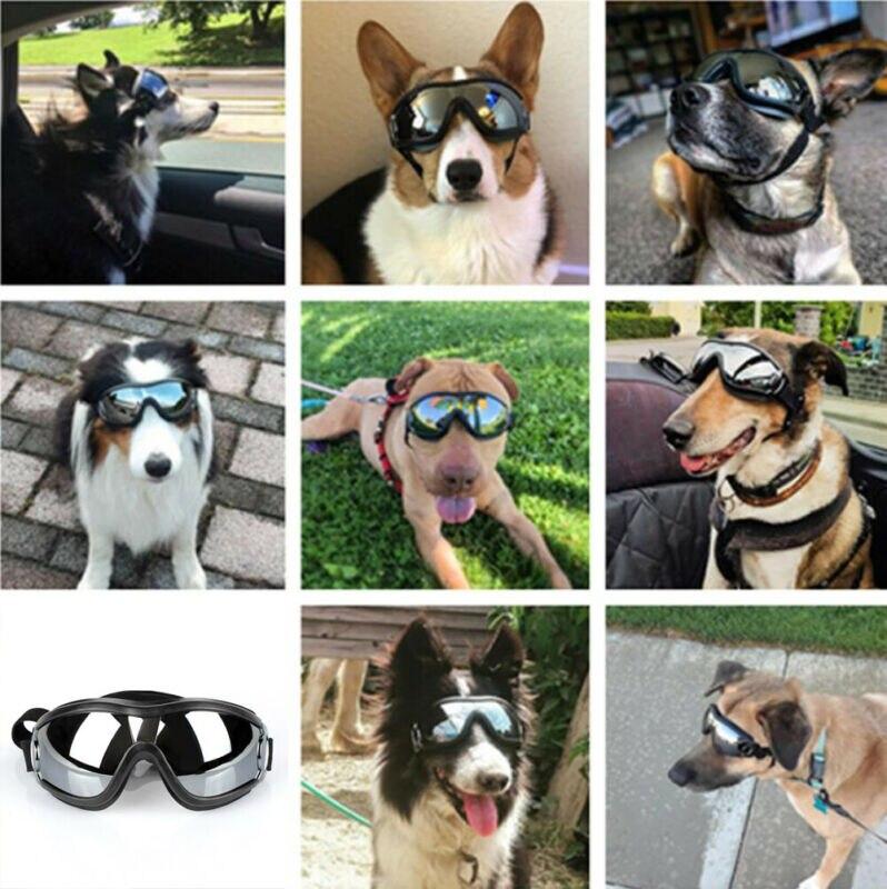 Waterproof Windproof Protective Dog Goggles With Sunscreen And Uv Protection