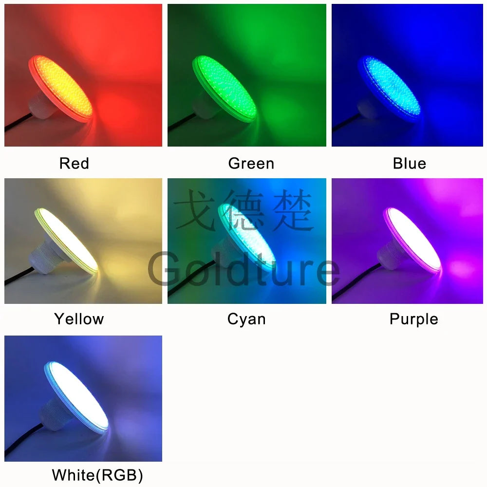 12V Colorful LED Pool Light for Bestway & Intex Pools