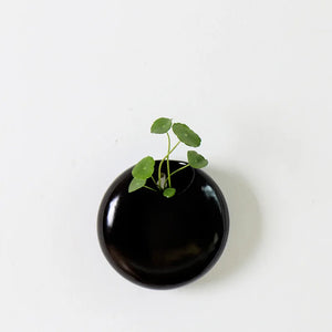 Modern Ceramic Wall Hung Plant Pot