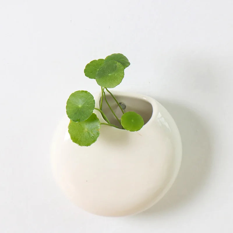 Modern Ceramic Wall Hung Plant Pot