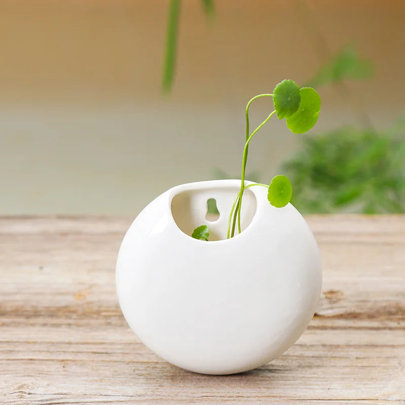 Modern Ceramic Wall Hung Plant Pot