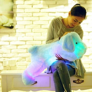 Cute Luminous Puppy