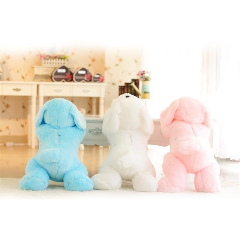 Cute Luminous Puppy