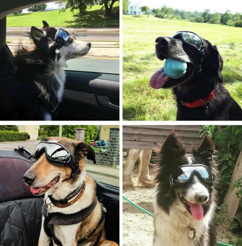 Waterproof Windproof Protective Dog Goggles With Sunscreen And Uv Protection