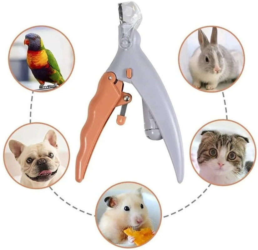 LED Light Pet Nail Clipper for Safe Trimming