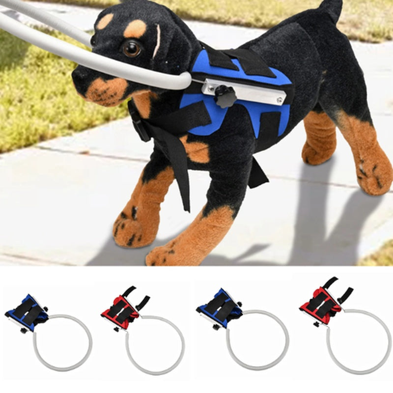 Lightweight Adjustable Blind Dog Halo Protective Anti-Collision Ring