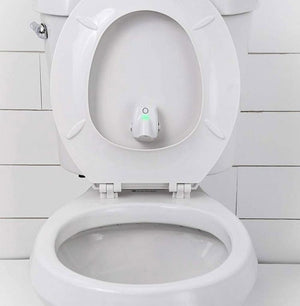 Motion Sensor Potty Training Nightlight for Boys