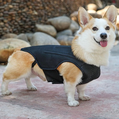 Pet Dog Back Brace For Various Sizes