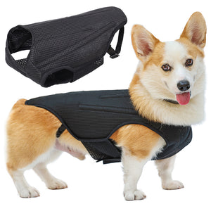 Pet Dog Back Brace For Various Sizes