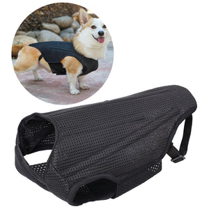 Pet Dog Back Brace For Various Sizes