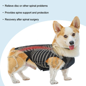 Pet Dog Back Brace For Various Sizes