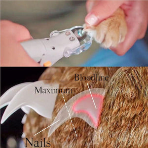 Pet Nail Clippers with Safety Quick Sensors for Dogs and Cats