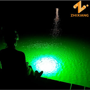 DC12V Waterproof LED Underwater Fishing Light 20W 60W
