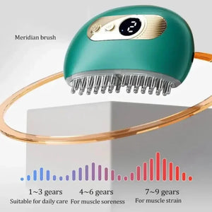 Electric Scalp Massage Comb for Hair Growth Therapy