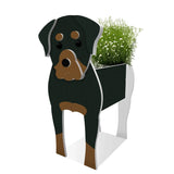 DIY Animal Planter PVC Garden Decor