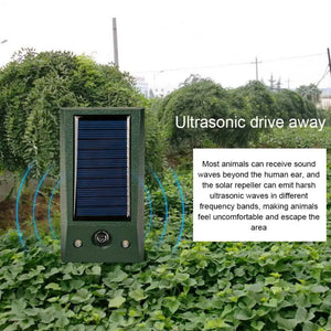 Ultrasonic Bird Pest Repellent with Solar Power