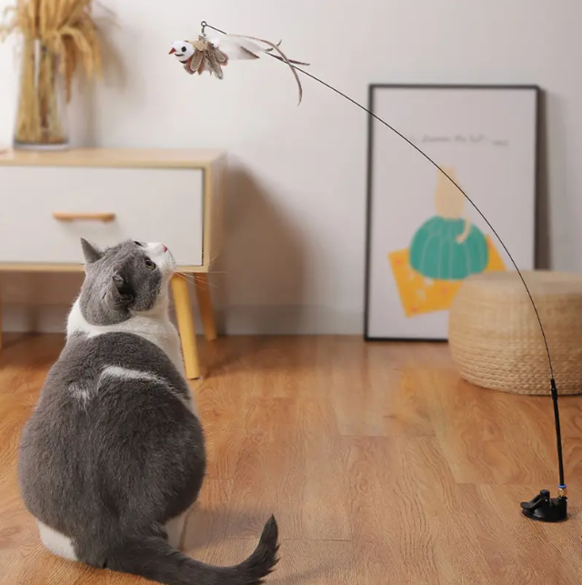 Interactive Cat Toy With Feather Bird And Bell