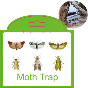 Moth Pheromone Sticky Trap for Clothes and Food