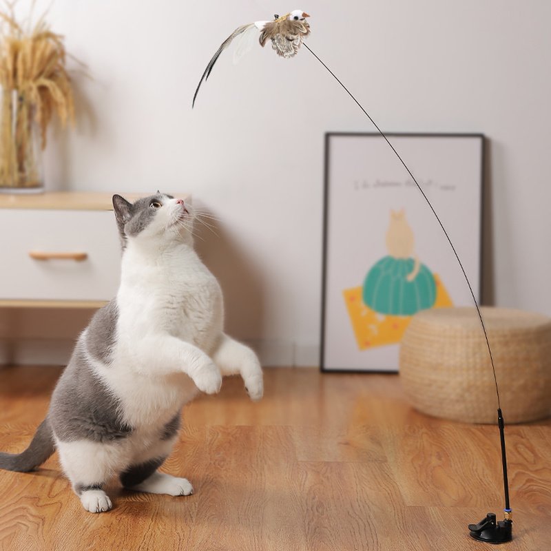 Interactive Cat Toy With Feather Bird And Bell