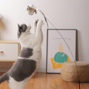 Interactive Cat Toy With Feather Bird And Bell