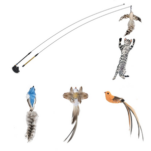 Interactive Cat Toy With Feather Bird And Bell